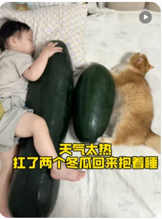 Folk saying: Hug a winter melon to beat the summer heat