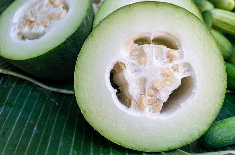 Winter melon - cooling vegetable used in traditional Chinese summer diet